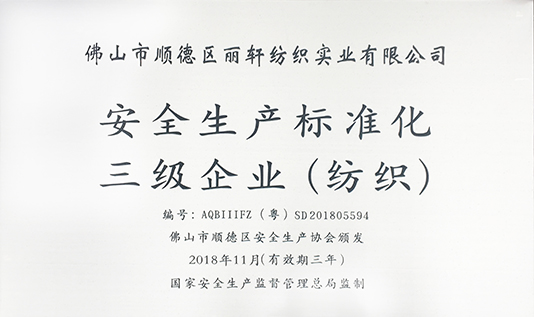 生产安全标准化企业